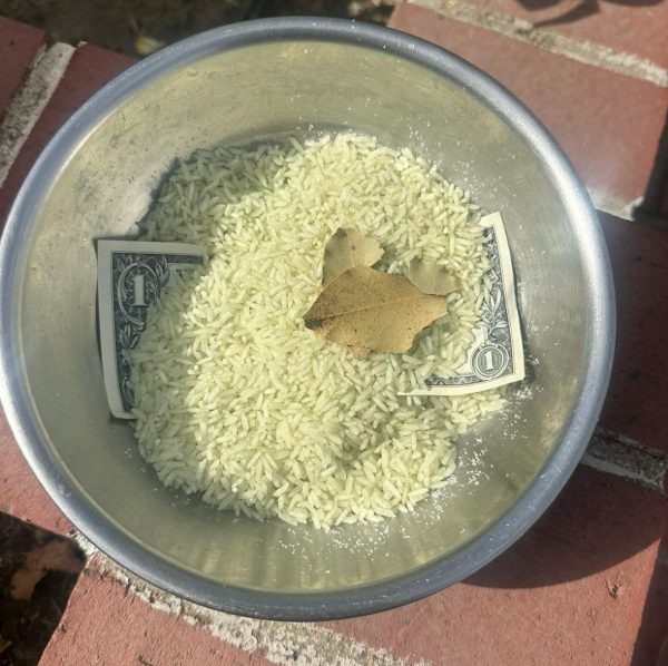 Money Rice - Image 5