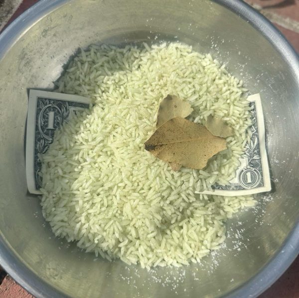 Money Rice - Image 4