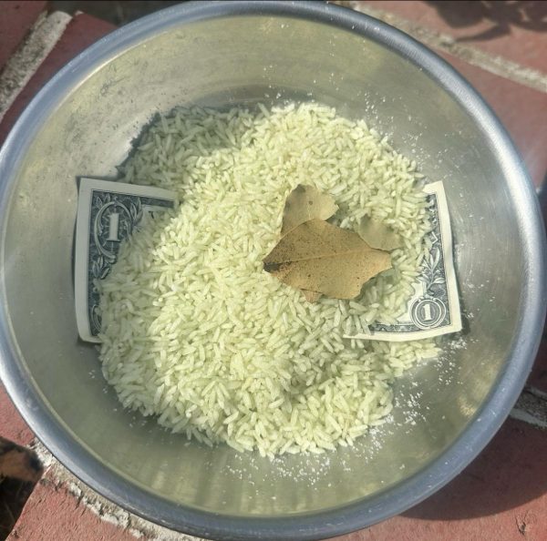 Money Rice - Image 3