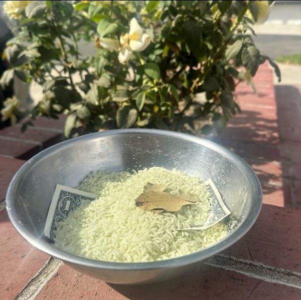 Money Rice - Image 2
